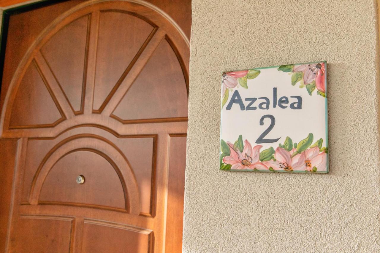 Il Mandorlo Fiorito Bed And Breakfast Ogliastro Cilento Exterior foto